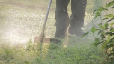 Bahçıvan Mowser çim biçme makinesi yeşil çimen