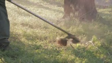 Bahçıvan Mowser çim biçme makinesi yeşil çimen