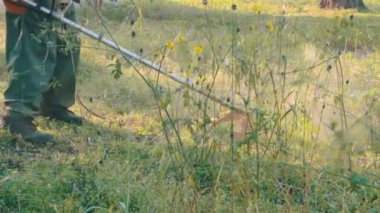 Bahçıvan Mowser çim biçme makinesi yeşil çimen