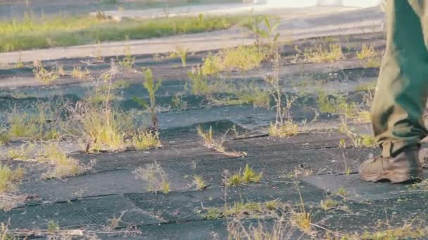 Gardener Mows the Lawn Mower Green Grass — Stock Video