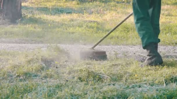 Gardener Mows the Lawn Mower Green Grass — Stock Video