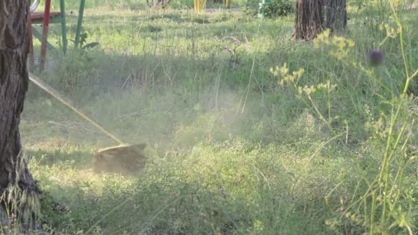 Tuinman maait de grasmaaier gras groen — Stockvideo