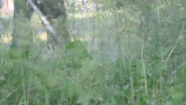 Gardener Mows the Lawn Mower Green Grass — Stock Video