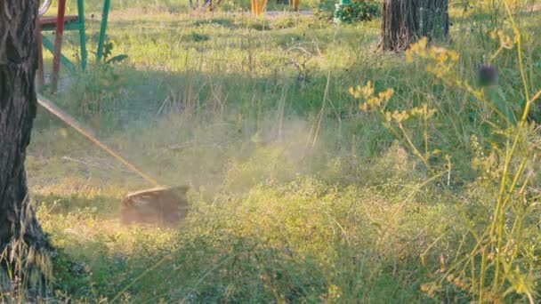 Gardener Mows the Lawn Mower Green Grass — Stock Video