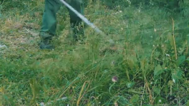 Gardener Mows the Lawn Mower Green Grass — Stock Video