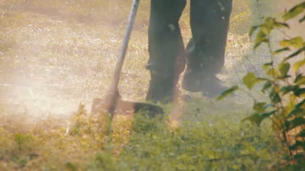 Jardineiro corta a grama verde cortador de grama — Vídeo de Stock