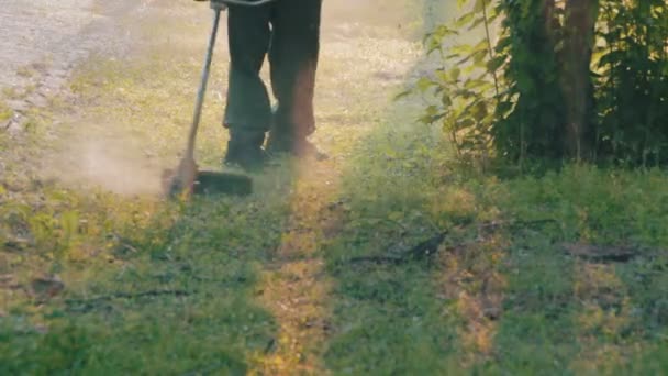 Zahradník seká sekačkou zelené trávy — Stock video