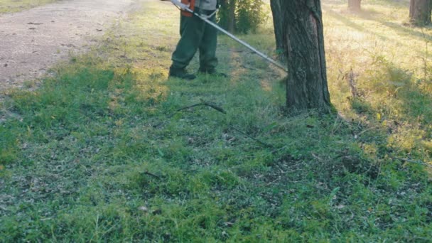 Jardinero corta la cortadora de césped hierba verde — Vídeos de Stock