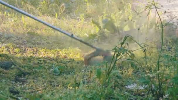 Jardinier fauche la tondeuse à gazon herbe verte — Video