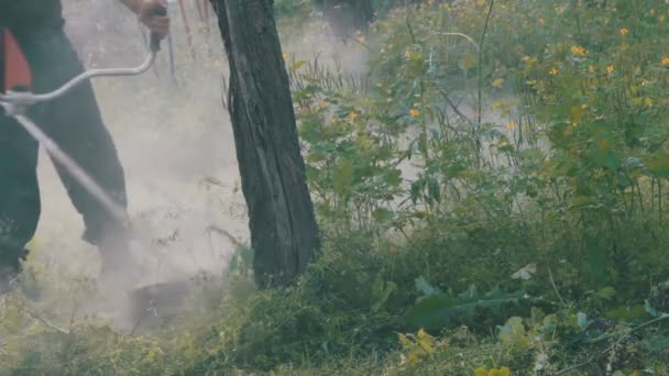 Jardineiro corta a grama verde cortador de grama — Vídeo de Stock