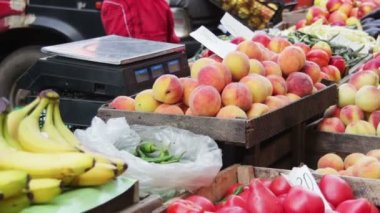 meyve ve sebze pazarı