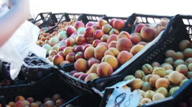 Semt pazarı vitrinde meyve seçme kadın