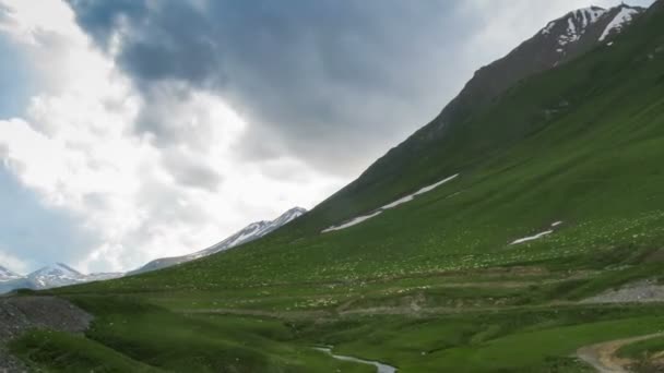 Enorme kudde schapen laten grazen op de Georgisch bergen. Time-lapse — Stockvideo