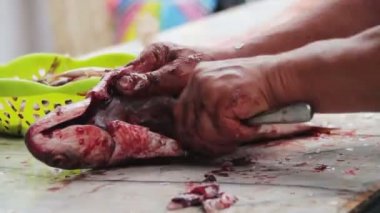 Gut balık. Balık temizler. Balık evisceration. Taze balık işleme. Balık kaplama oluşturma.