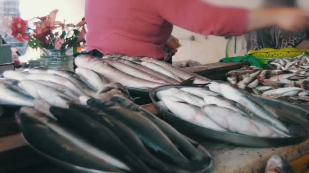 Mariscos en el mercado de pescado — Vídeo de stock