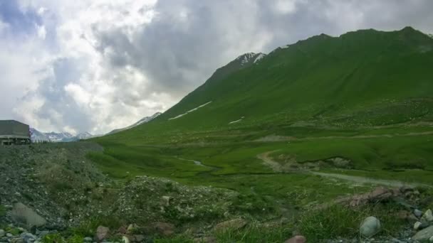 Величезний Отара овець випасу на грузинські гори. Уповільнена зйомка — стокове відео