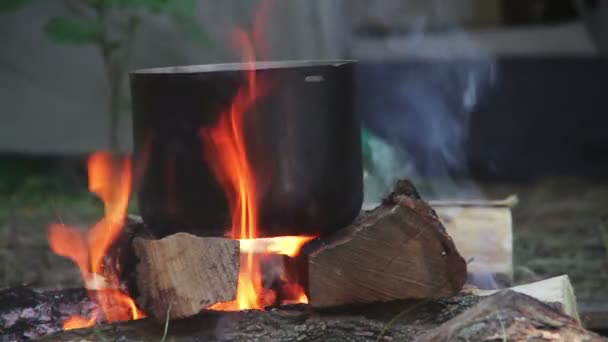 Vaření potravin přes táborák na turistické Pot — Stock video