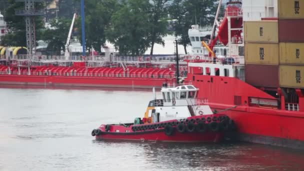 Грузовой паром прибывает в морской порт — стоковое видео