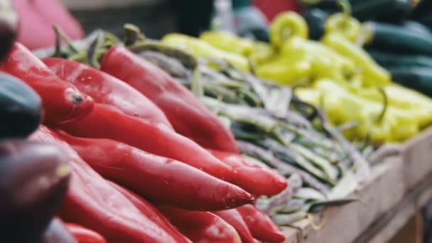 Produtos hortícolas frescos no mercado — Vídeo de Stock