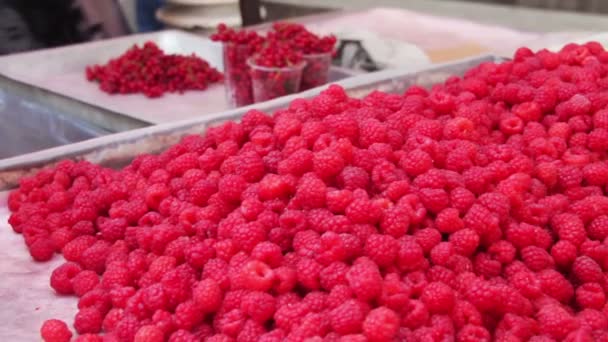 Arbeitsplatte Geschäft mit Himbeeren — Stockvideo