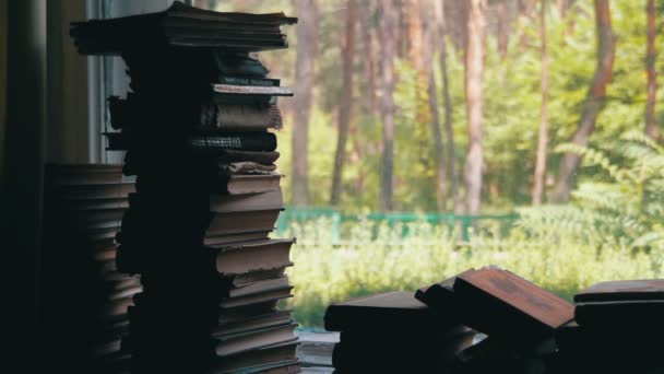 Stacks of Books Lying on a Window Sill on the Background Green Forest Outside — Stock Video