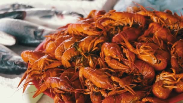 水煮红小龙虾在柜台上的鱼市场 — 图库视频影像
