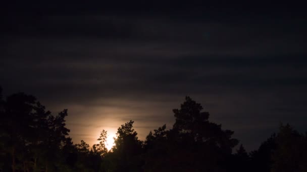 Natten månen stiger på horisonten över träd och moln. Tidsfördröjning — Stockvideo
