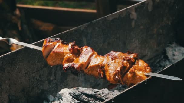 Kebab przygotowane na grillu — Wideo stockowe