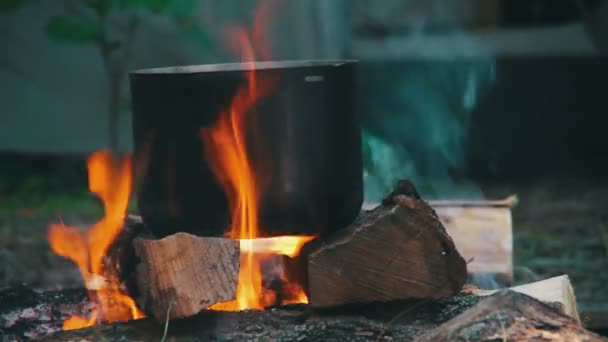 Koken op het kampvuur — Stockvideo