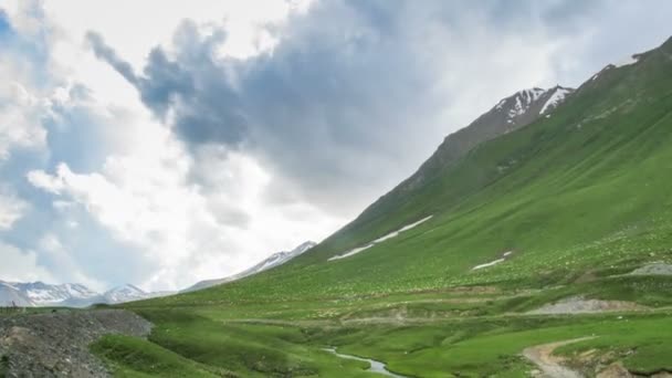 Büyük Gürcü Dağları üzerinde otlatma koyun sürüsü. Zaman atlamalı — Stok video
