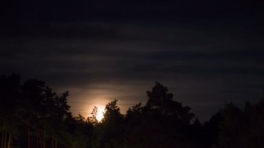 Gece ay ufukta yükselen ağaçları ve bulutlar üzerinde. Zaman atlamalı