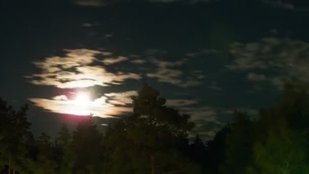 Night Moon Rising on the Horizon over the Trees and Clouds. Délai imparti 