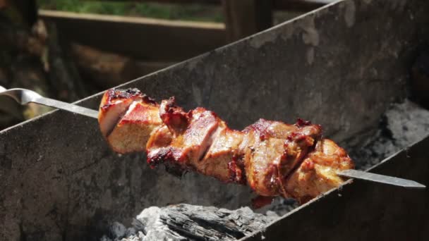 Kebab på grillen — Stockvideo