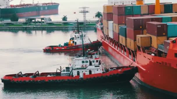 Frachtfähre kommt im Seehafen an — Stockvideo