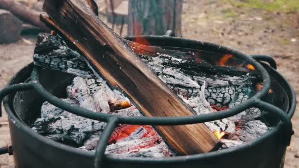 Hoguera con leña y carbón ardiendo en la parrilla — Vídeo de stock