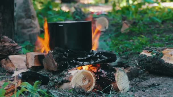 Az erdő tűz pot — Stock videók