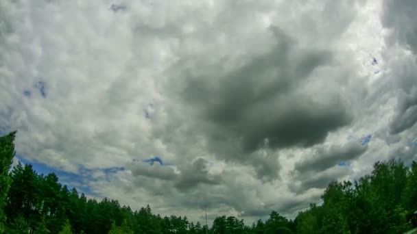 Облака в небе движутся над деревьями — стоковое видео