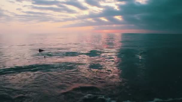 Kvällen havet efter solnedgången — Stockvideo