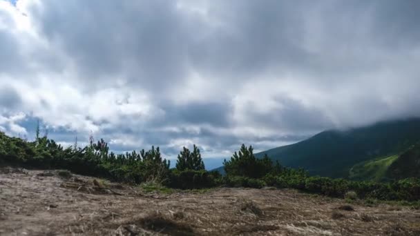 Timelapse of Moving Low Clouds in the Carpathian Mountains (en inglés). Cumulus cielo dramático — Vídeo de stock