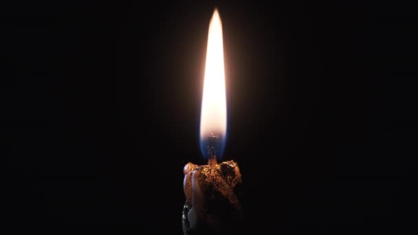 Video Vertikal. A Single Candle is Lit on Black Background. Candle Flame in Dark — Stok Video