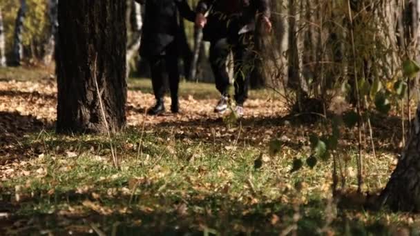 Pareja enamorada camina en el pintoresco parque de otoño cerca del río con hojas caídas — Vídeo de stock