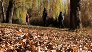 Görüntü Yürüyüşü 'nde Mutlu Aile ve Sonbahar Parkı' nda Eğlenin. Düşük Görünüm. Düş.