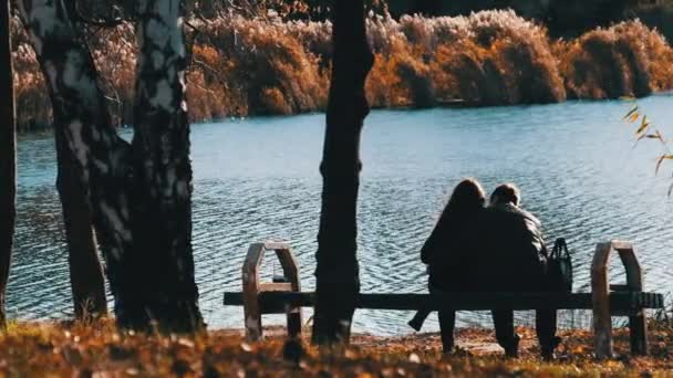 Giovane coppia romantica seduta su una panchina in un parco autunnale vicino al fiume. Caduta. — Video Stock