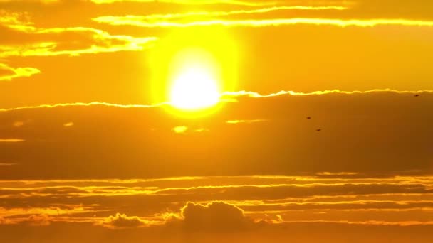 Majestic Timelapse του δραματικού κόκκινου ηλίου πάνω από το Horizon. Καταπληκτικό ηλιοβασίλεμα — Αρχείο Βίντεο