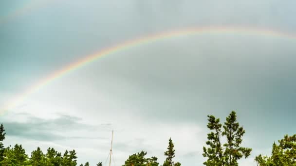 Rainbow in the Sky above the Trees (англійською). Timelapse. — стокове відео