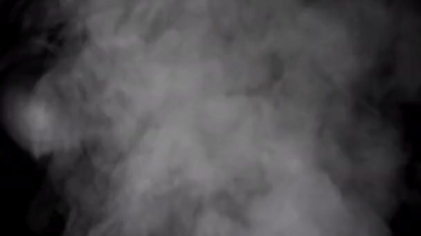 Καπνός ή ατμός σε διαφανές φόντο με κανάλι Alpha. — Αρχείο Βίντεο