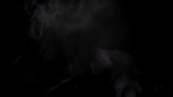 Fumaça ou vapor em fundo transparente com Alpha Channel. — Vídeo de Stock