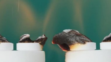 Firavun Yılan. Kuru Alkol Üzerinde Kalsiyum Glukonat Kimyasal Deneyi