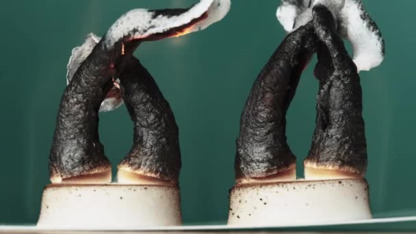 Φίδι Φαραώ. Χημικό πείραμα θέρμανσης Gluconate ασβεστίου σε ξηρή αλκοόλη — Αρχείο Βίντεο