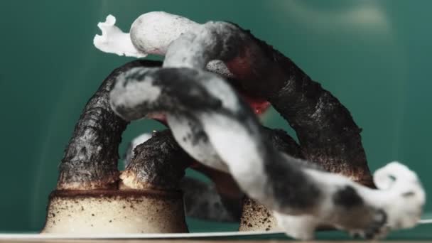 Farao Snake. Een chemisch experiment voor het verhitten van calciumgluconaat op droge alcohol — Stockvideo